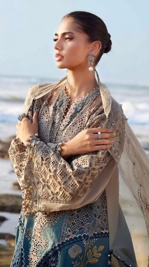 730e39cc-0f04-4d4f-9ad0-bf45a9c4c263 MARIA B PREMIUM EMBROIDERED 25-2